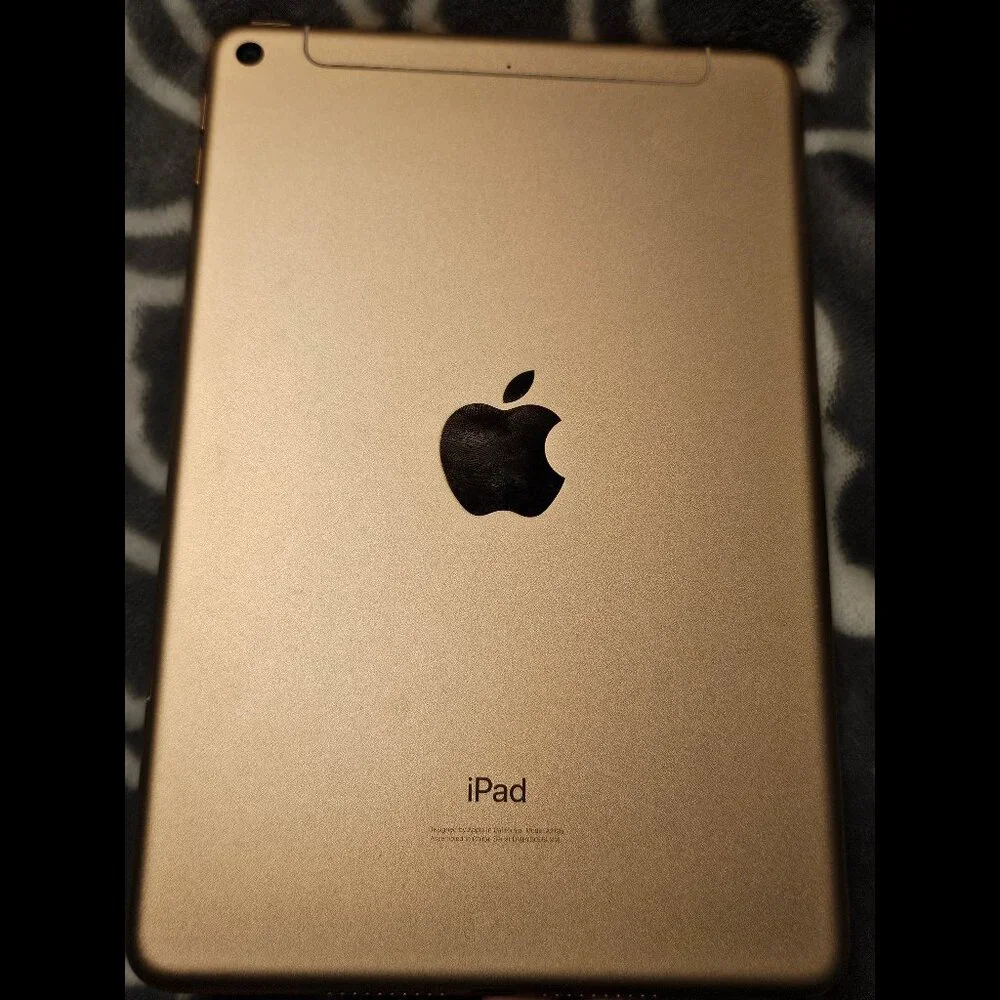 Apple iPad Mini 5 5th Gen 256GB Cellular & AirPods 2nd Gen Complete + Extras Lot